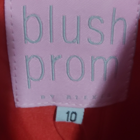 Beautiful Red Dress designed by Blush Size 10 - Picture 9 of 16